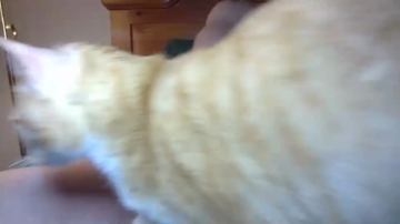Big_Dick_Finance_Boy  19-09-2021